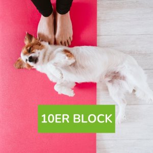 dog owner fitness 10er Block, , Foto: evablancophotos / Canva Pro